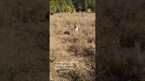 mountain lion stalks hunter and he shoots at with a Glock 27