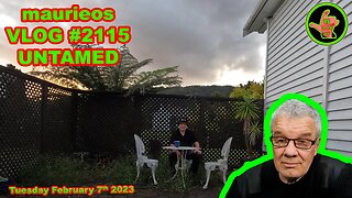 maurieos VLOG #2115 UNTAMED