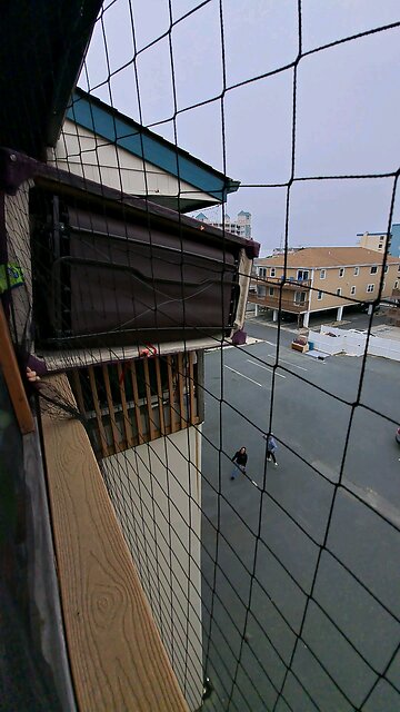 Throwing coach off the 4th floor