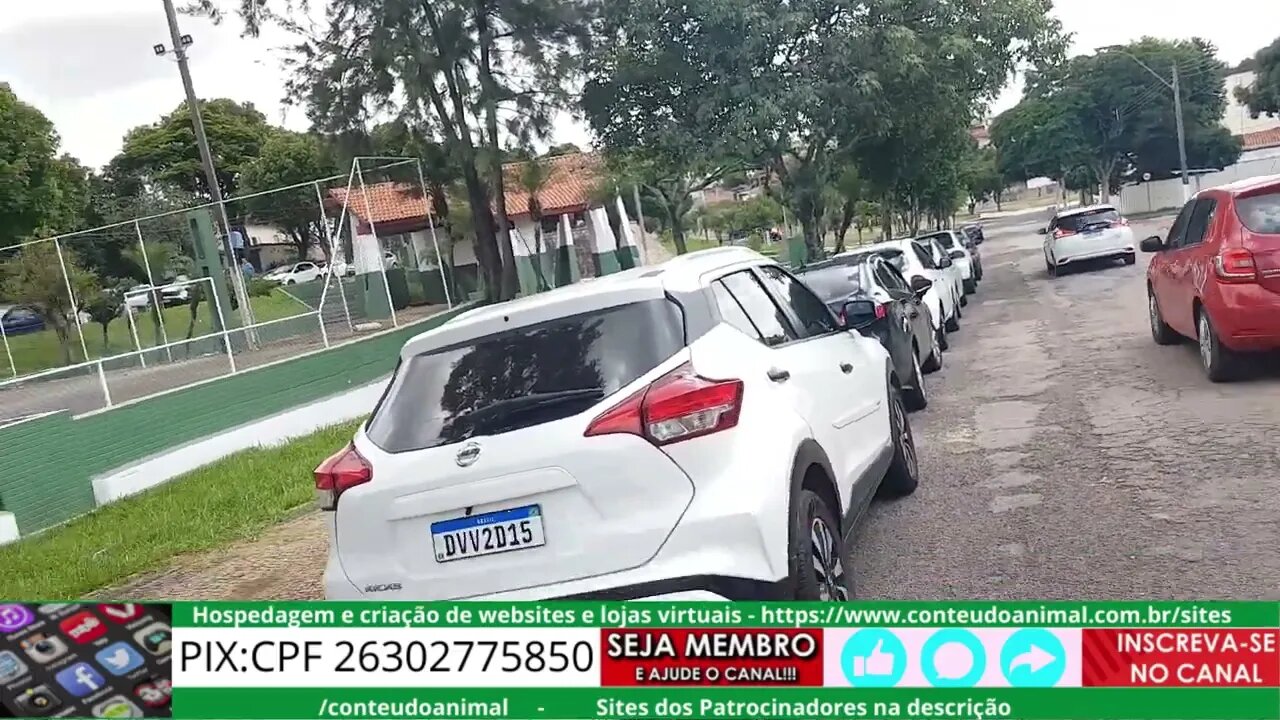pedal domingo