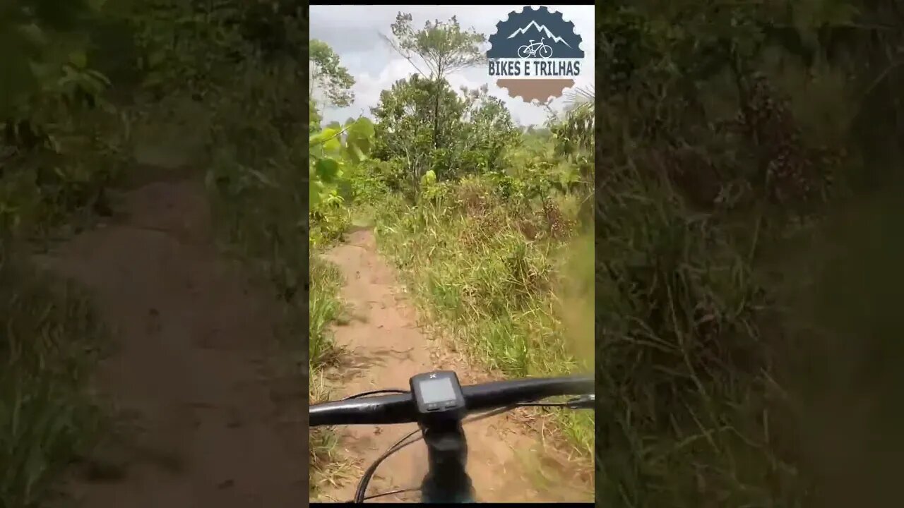 Single Velho da Facada Pt 02 - BIKES E TRILHAS #shorts