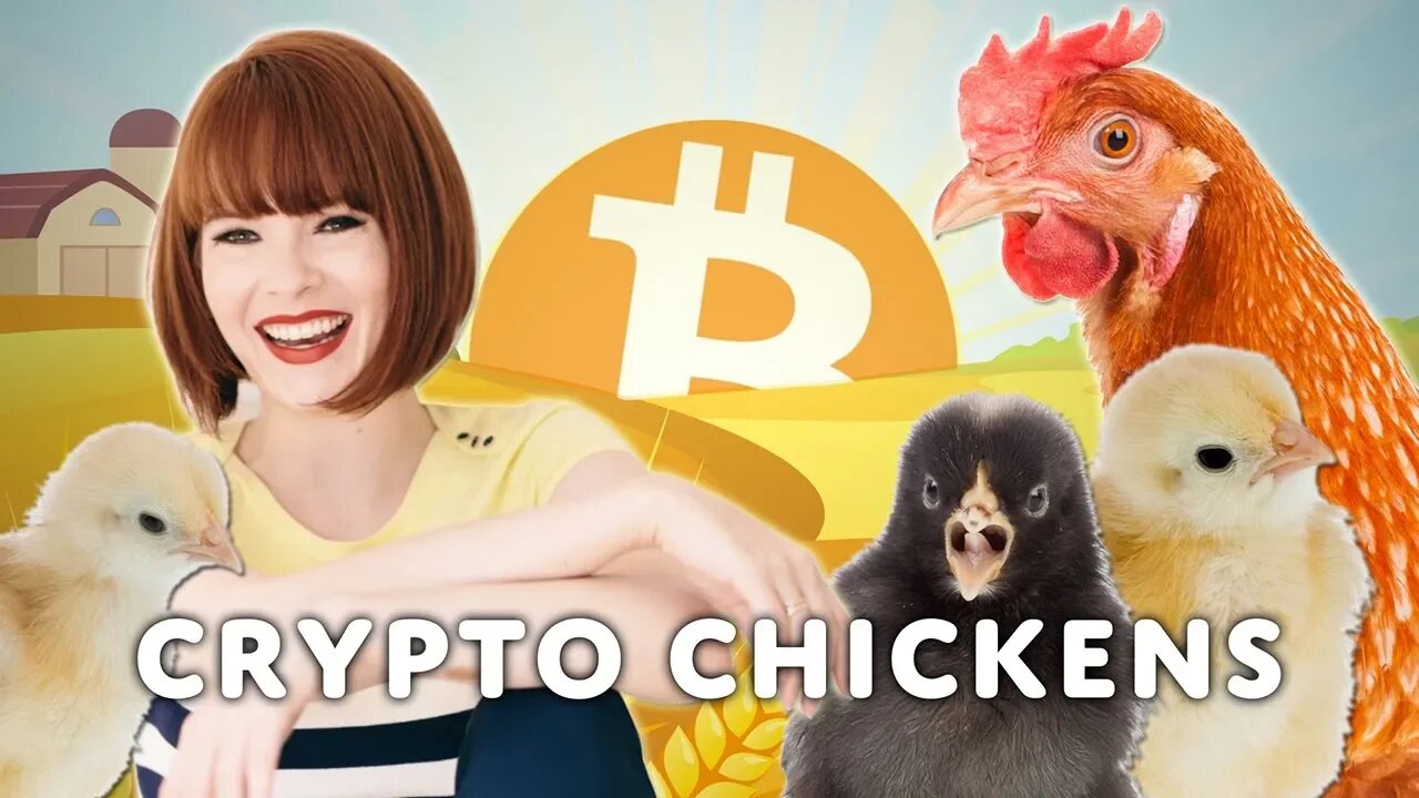 Interview with Crypto Chickens