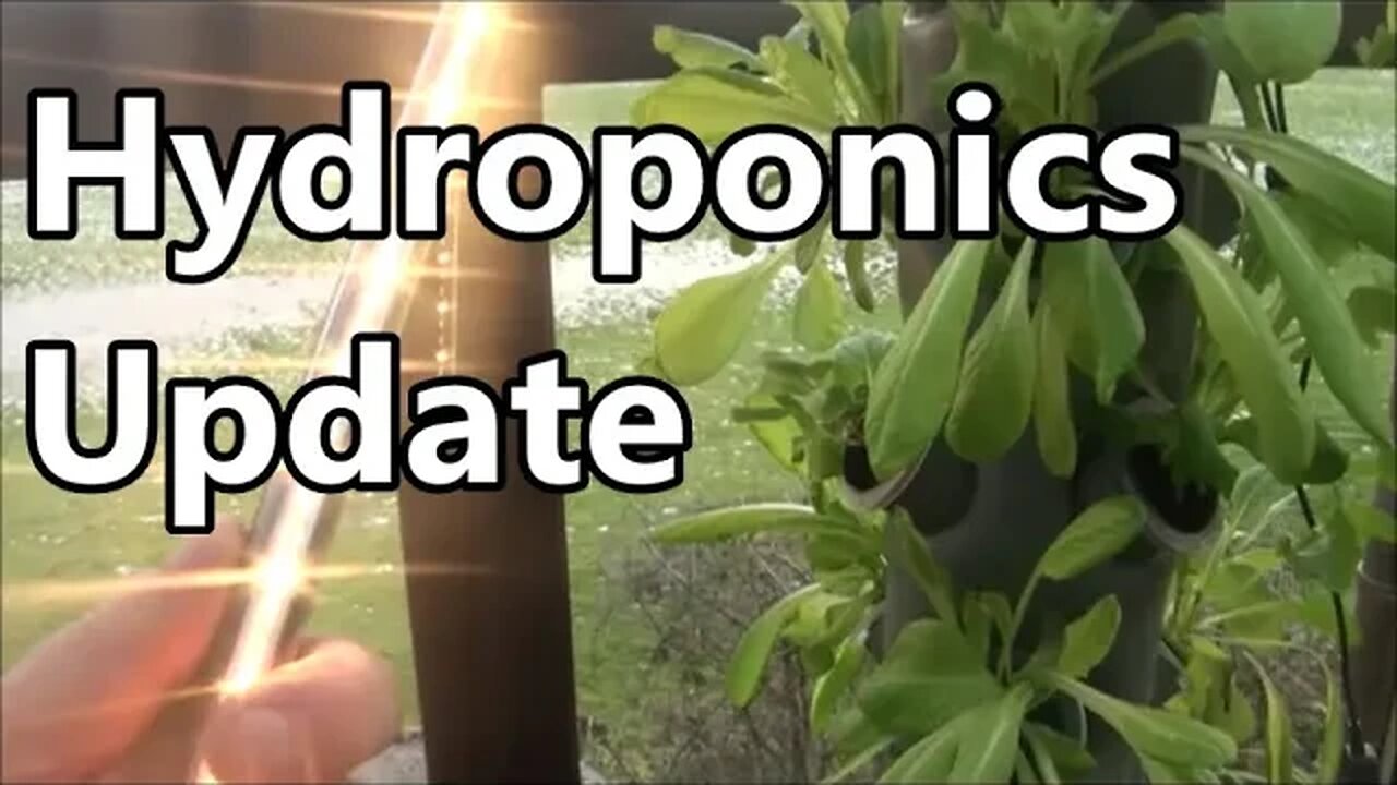 Vertical Horizons Hydroponic Tower Update - Feb 2023