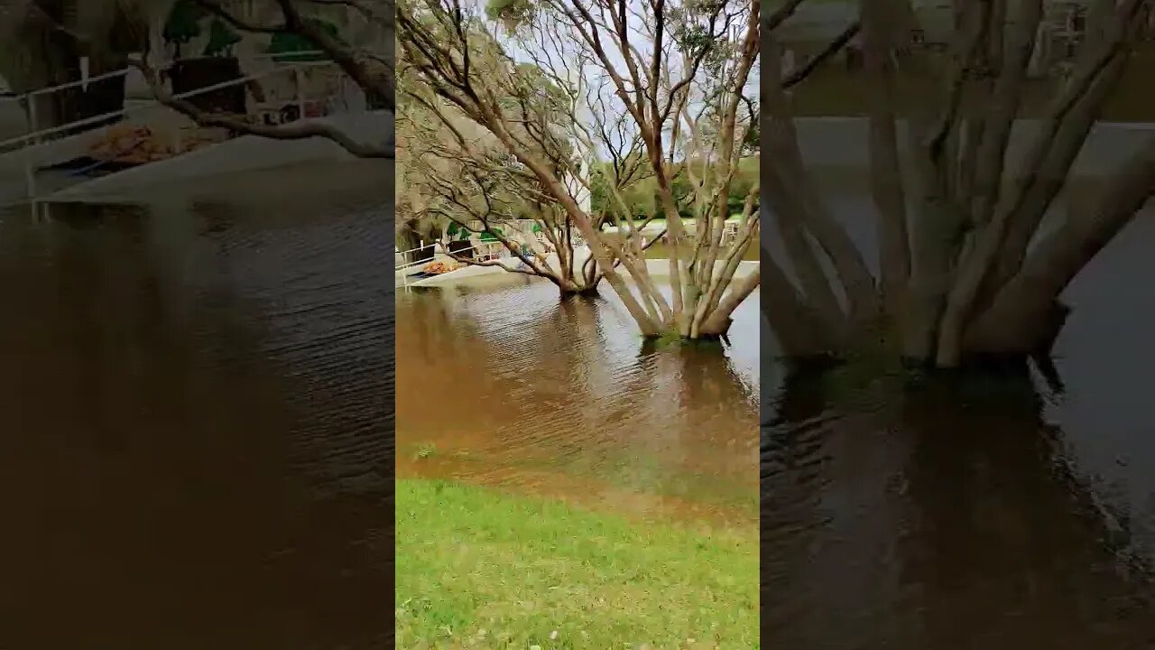 Graveyard flooded in Auckland