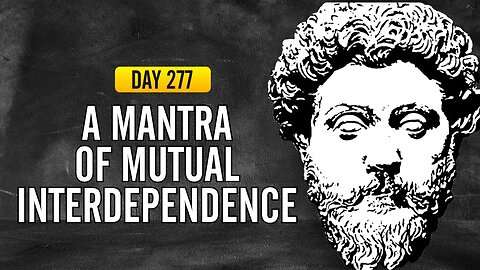 A Mantra of Mutual Interdependence - DAY 277 - The Daily Stoic 365 Day Devotional
