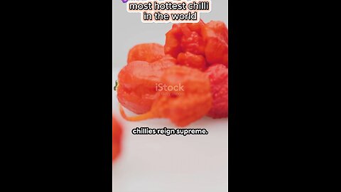 Hottest chilli in the world