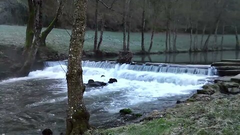 Relaxing Waterstream Sound for relaxation, meditation, yoga or taking a nap | 50 minutes