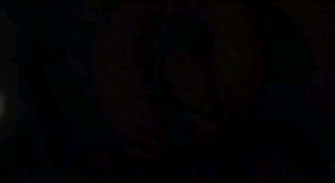 Our government does not represent US