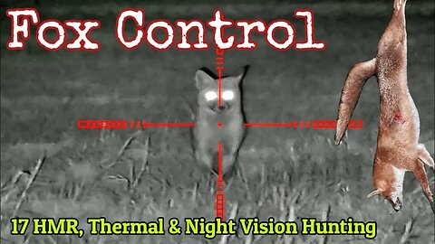 Fox Control Pest Shooting || Round #2 || 17HMR Hunting