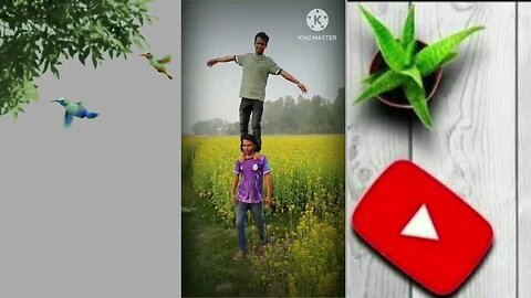 ছোটবেলার পাগলামি