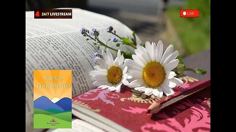 Biblia en directo Live