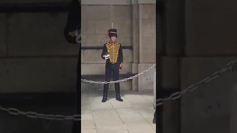 Two in one tourist literally taken the p&£s #horseguardsparade
