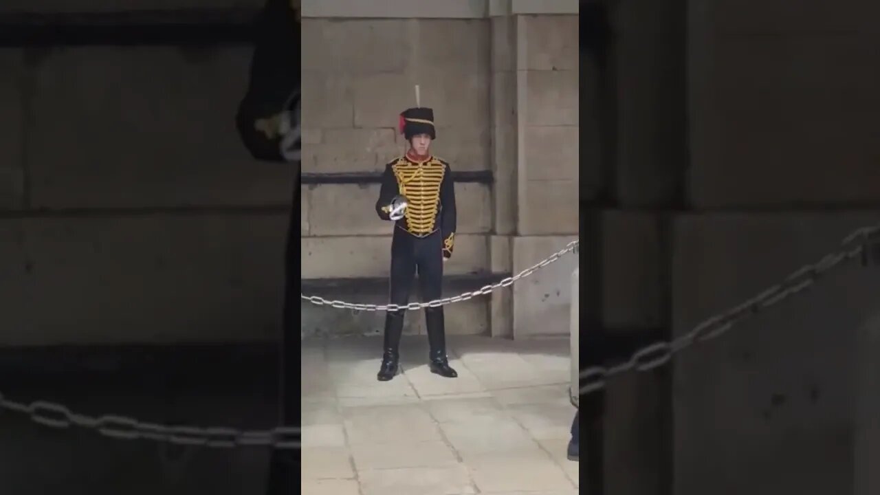 Two in one tourist literally taken the p&£s #horseguardsparade
