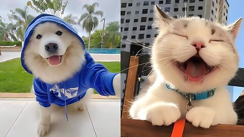 New Funny Videos 2023 😍 Cutest Cats and Dogs 🐱🐶