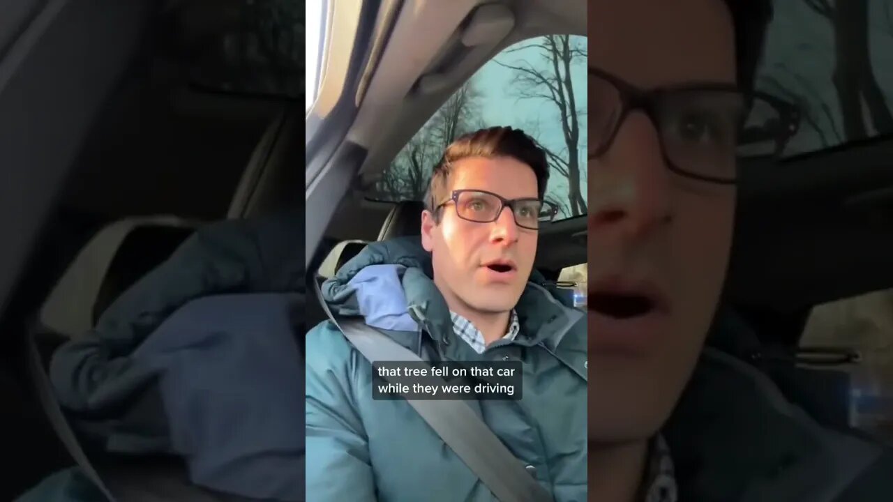 50 MPH Winds & Car Runs into Tree Just Now! 😳