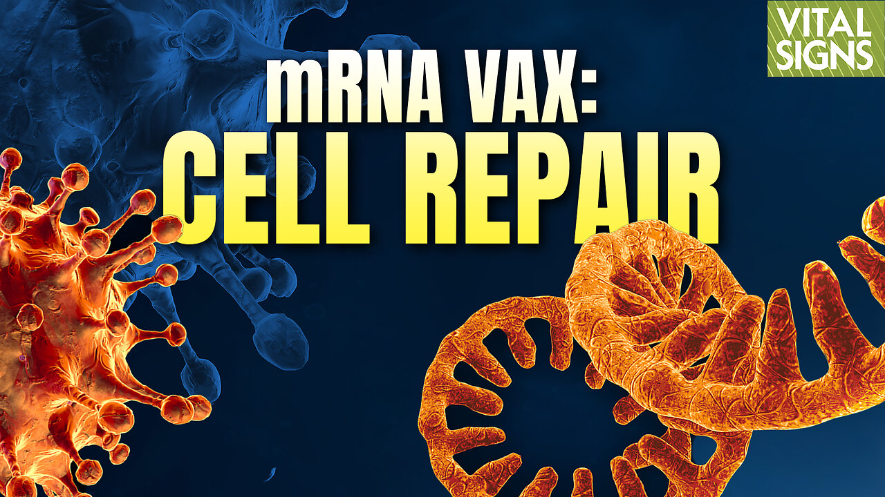 How mRNA Vaccine Cell Damage Can Be Reversed Through Lipid Replacement Therapy