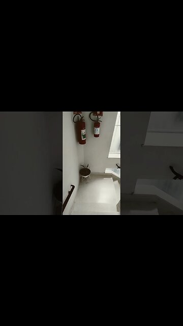 engenharia reversa do algoritmo vídeo #2023