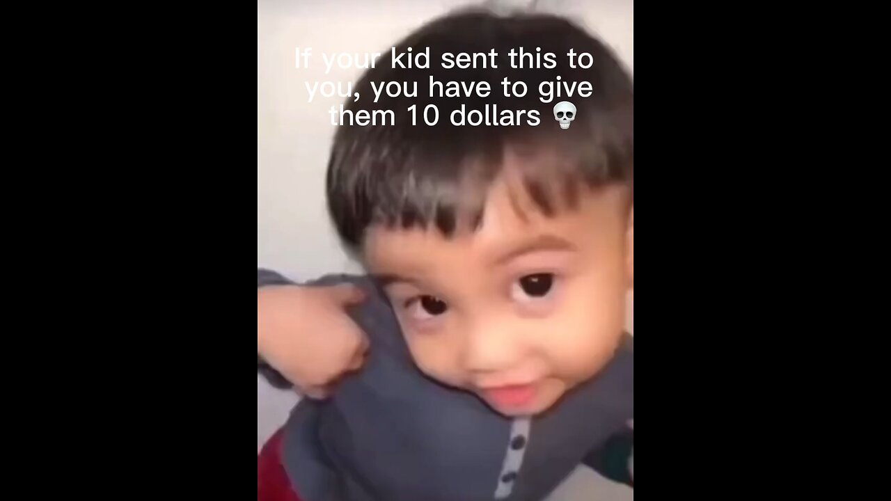 Funny videos