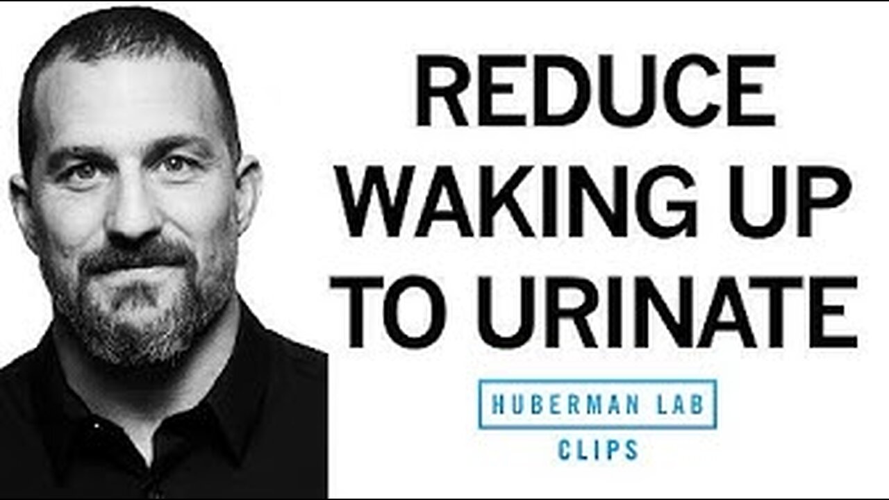 How to Reduce Nighttime Urination with Dr. Andrew Huberman