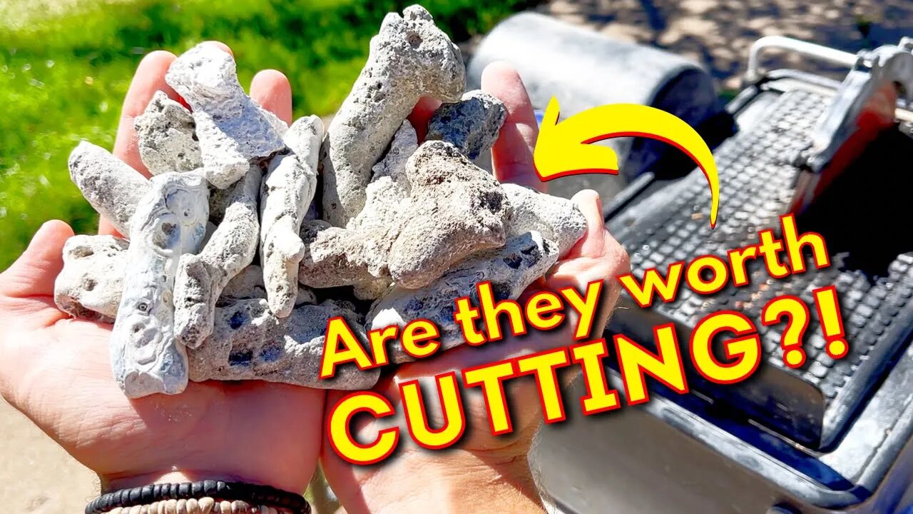 What’s inside SMALL agatized coral pieces? Slicing them open w/ saw!