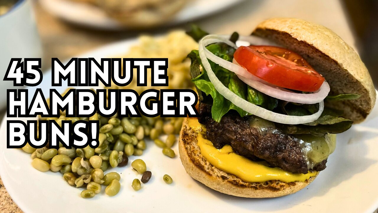 The Best, Soft, Whole Wheat Hamburger Buns | Freshly Milled Buns | Quick Breads