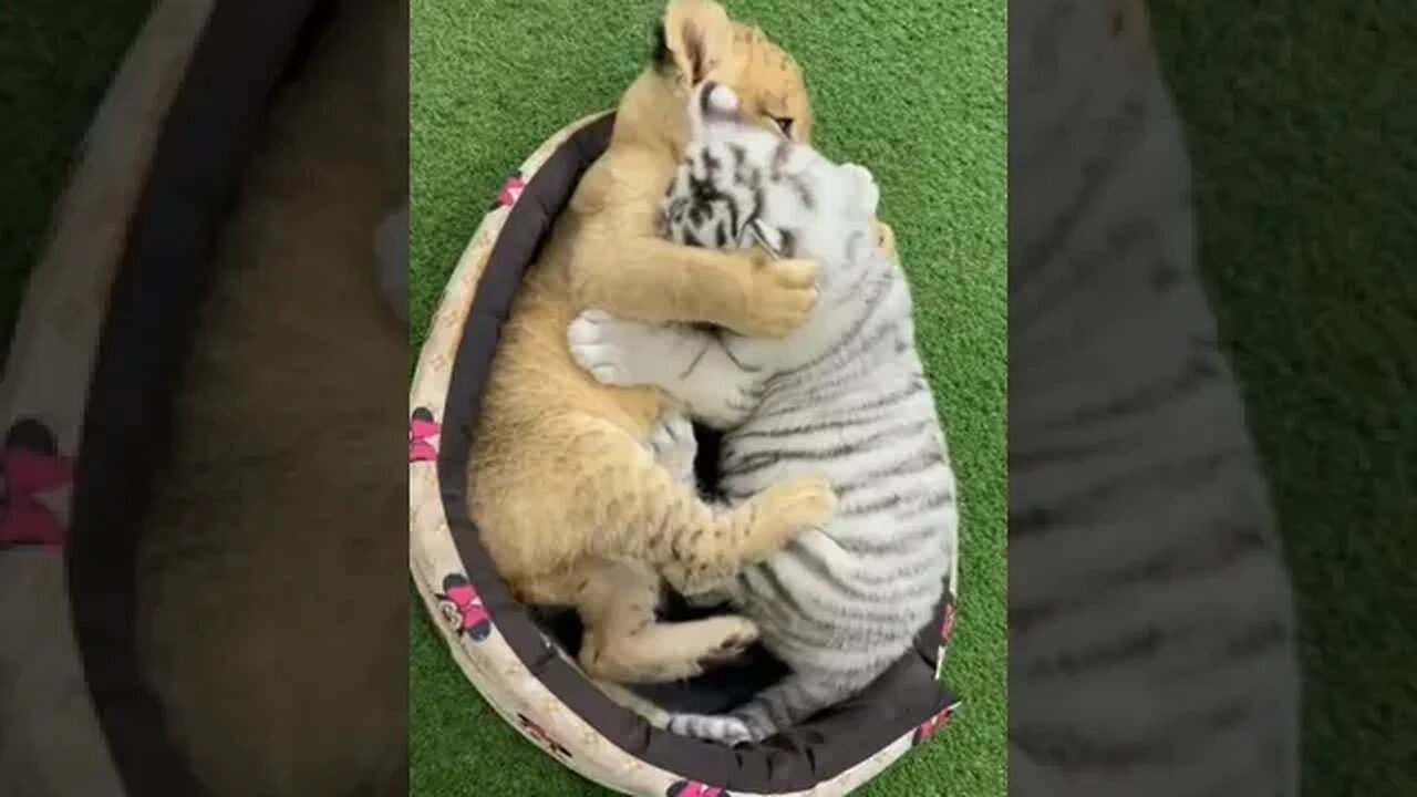 All kids are the same