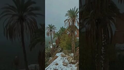 جديد تساقط الثلوج في مدينة فيكيك جنوب شرق المغرب