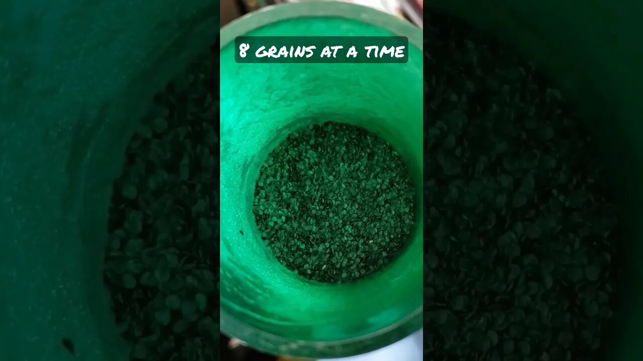 8 Grains At A Time