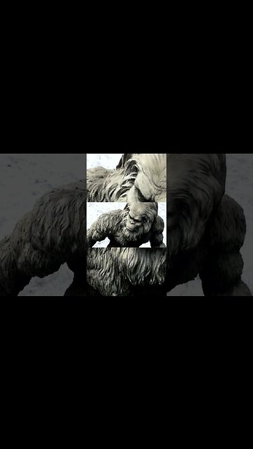 Albert Ostman a lumberjack stated he was abducted by a Sasquatch #bigfoot #sasquatch