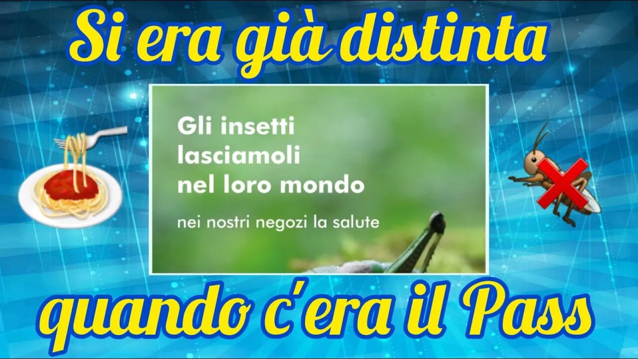 Insetti - C'è già un'azienda che dice NO!