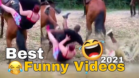 Best Funny Videos 2021