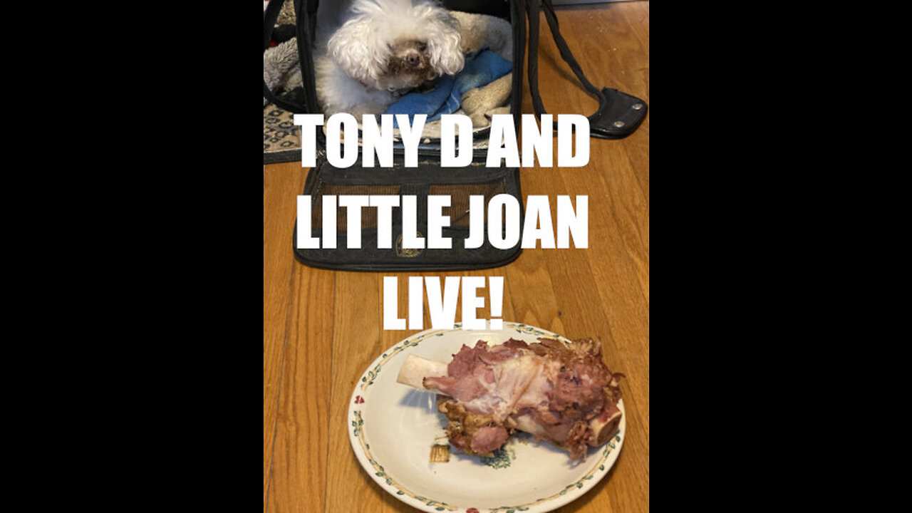 State of the Union Live Reaction with Tony D and Little Joan