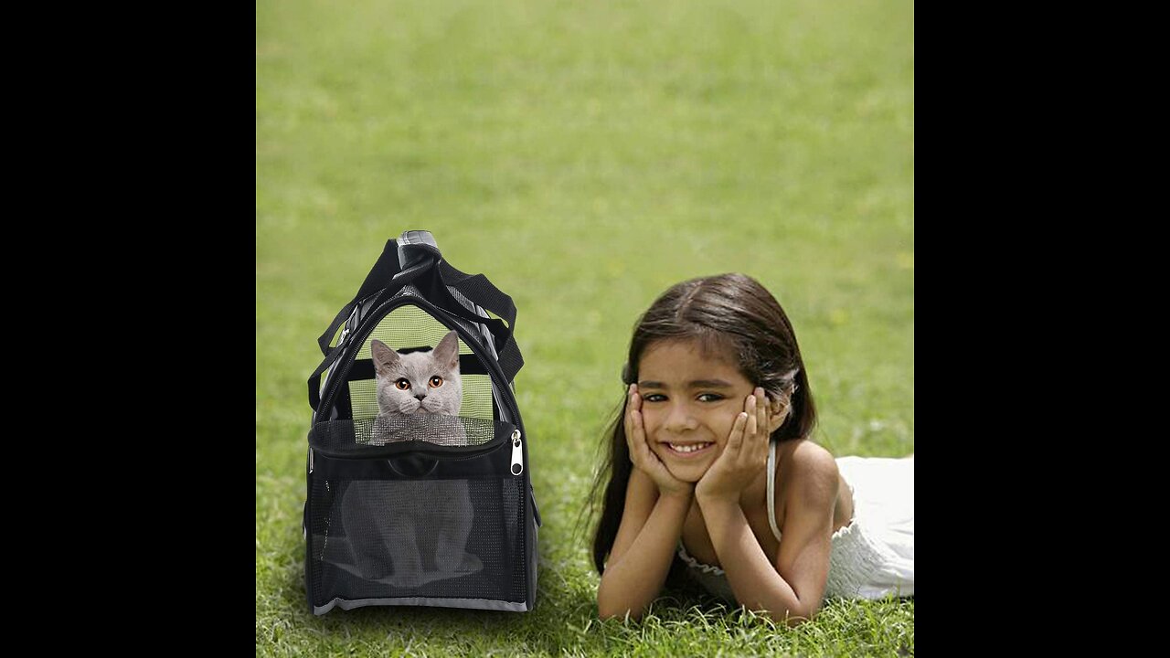 MuchL Cat Carrier Dog Carrier Soft-Sided Pet Travel Carrier for Cats Dogs Puppy Comfort Portabl...