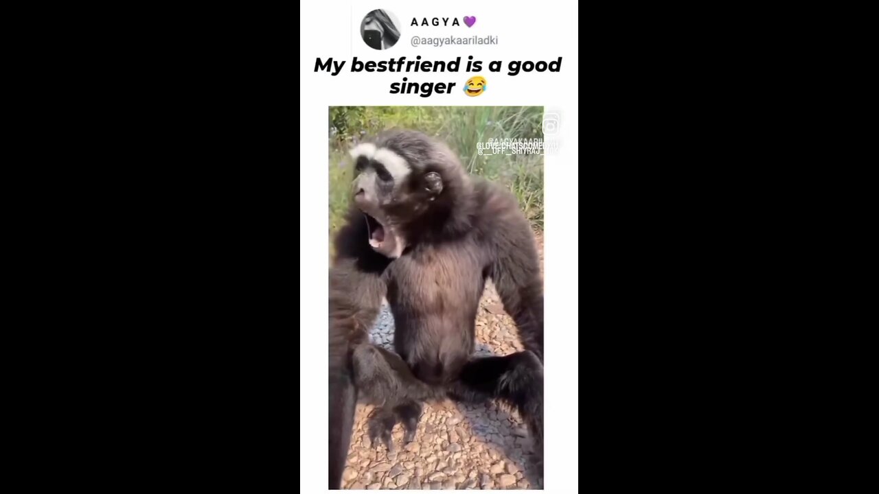 my friend is very good singer 😄 please follow me 💗