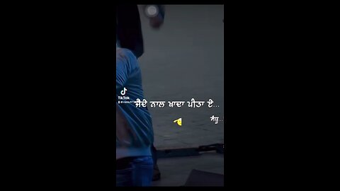 Punjabi video