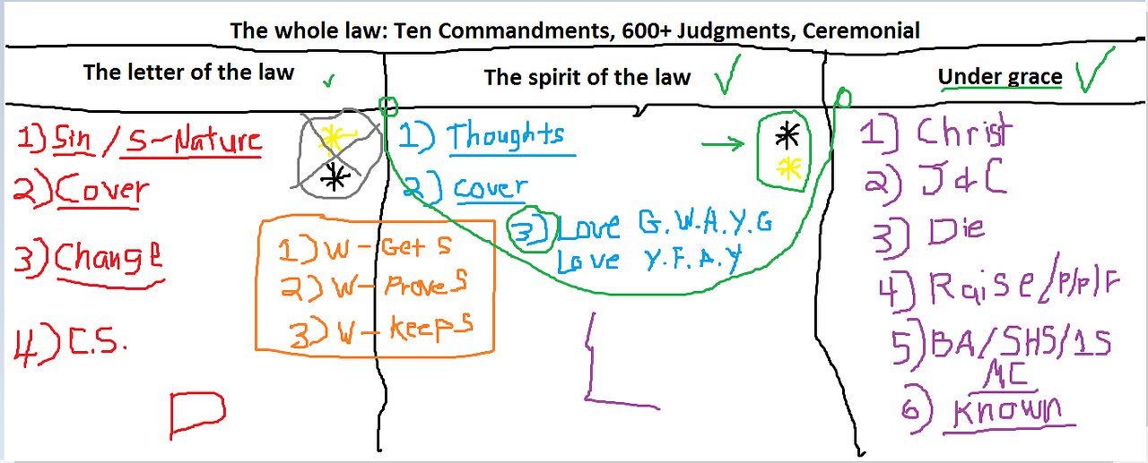 The law and you