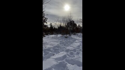 Shooting Fast In A Winter Wonderland Glock 26
