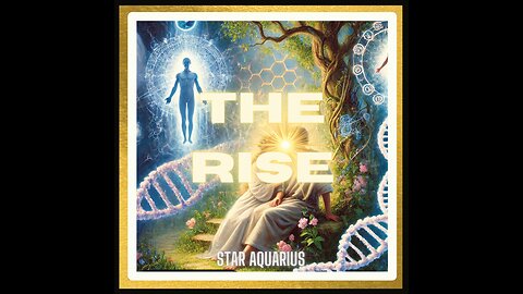 WELCOME TO STAR'S ART GALLERY- THE RISE