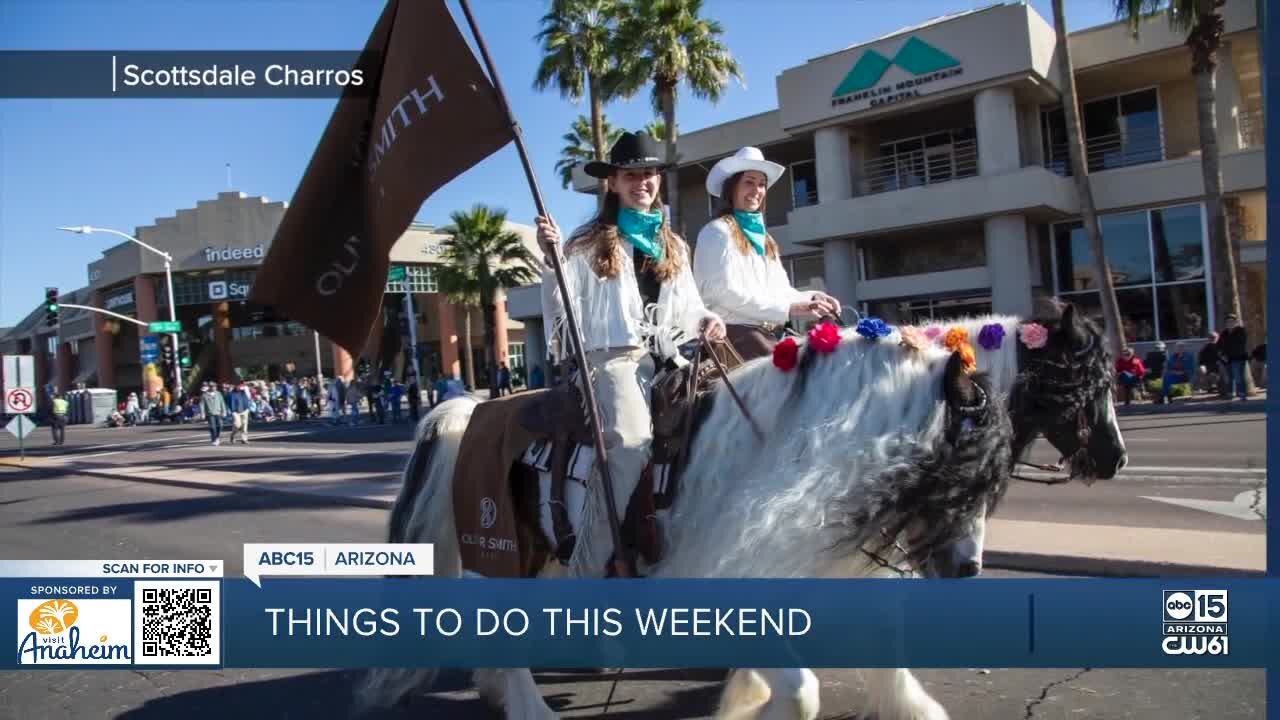 Things to do this weekend