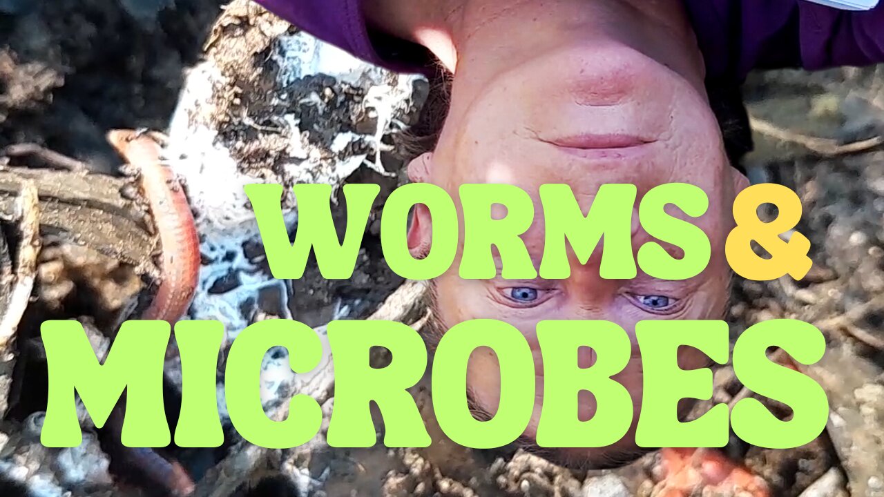 MICROBES & WORMS Can Release Minerals For Your Plants!