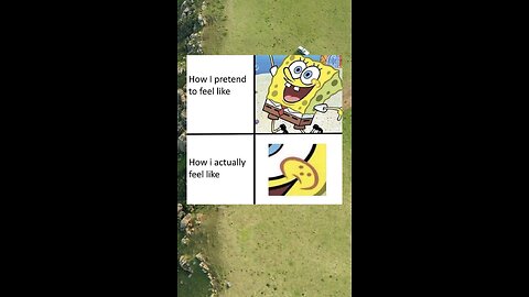 SPONGY MEME