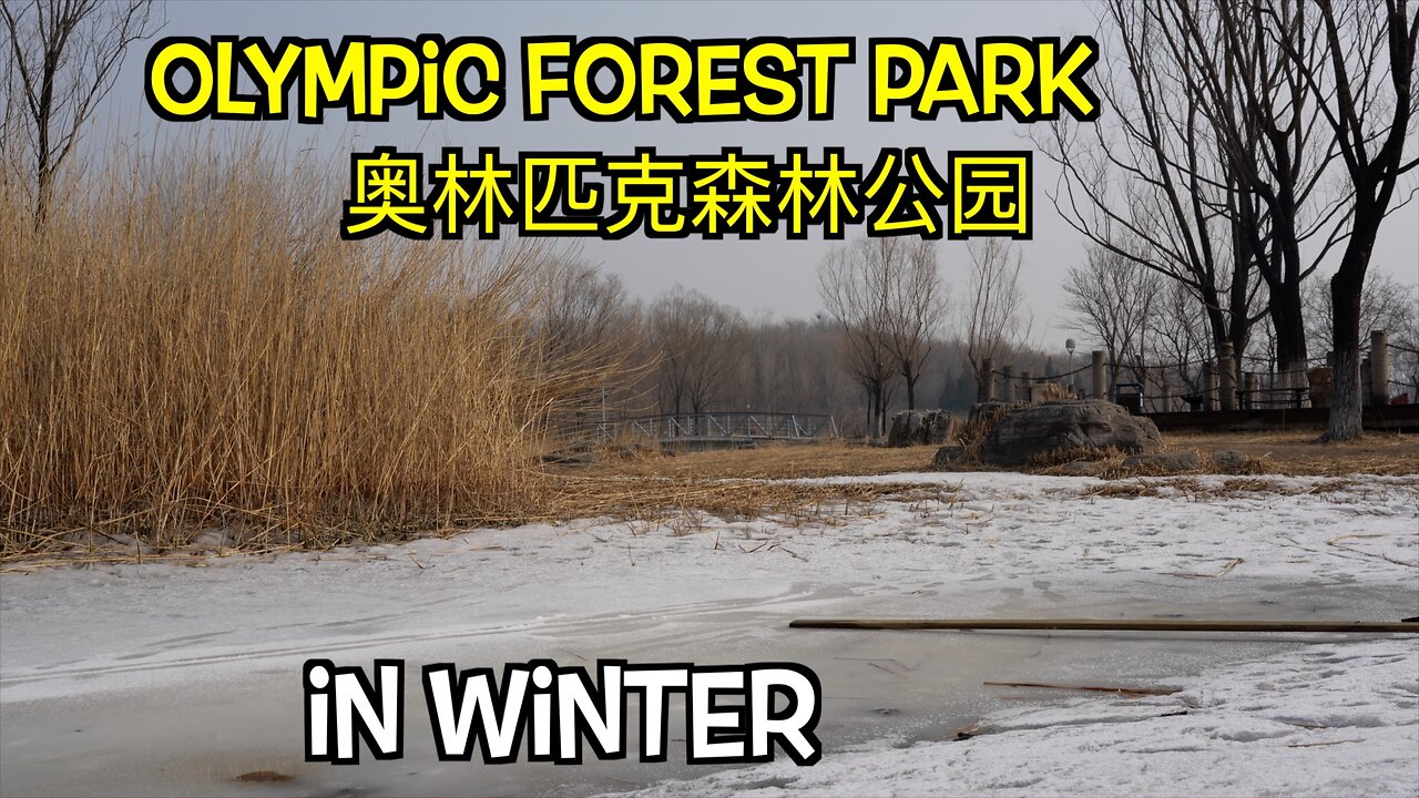 Olympic Forest Park 奥林匹克森林公园 in winter