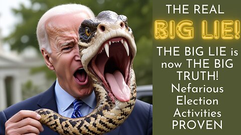 THE BIG LIE is now THE BIG TRUTH! Nefarious Election Activities PROVEN