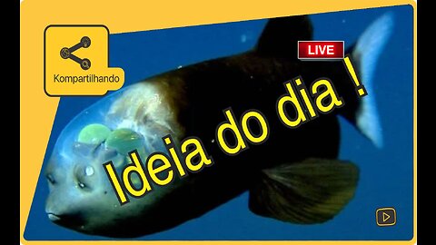 Criatura Super Estranha no Oceano Índico !