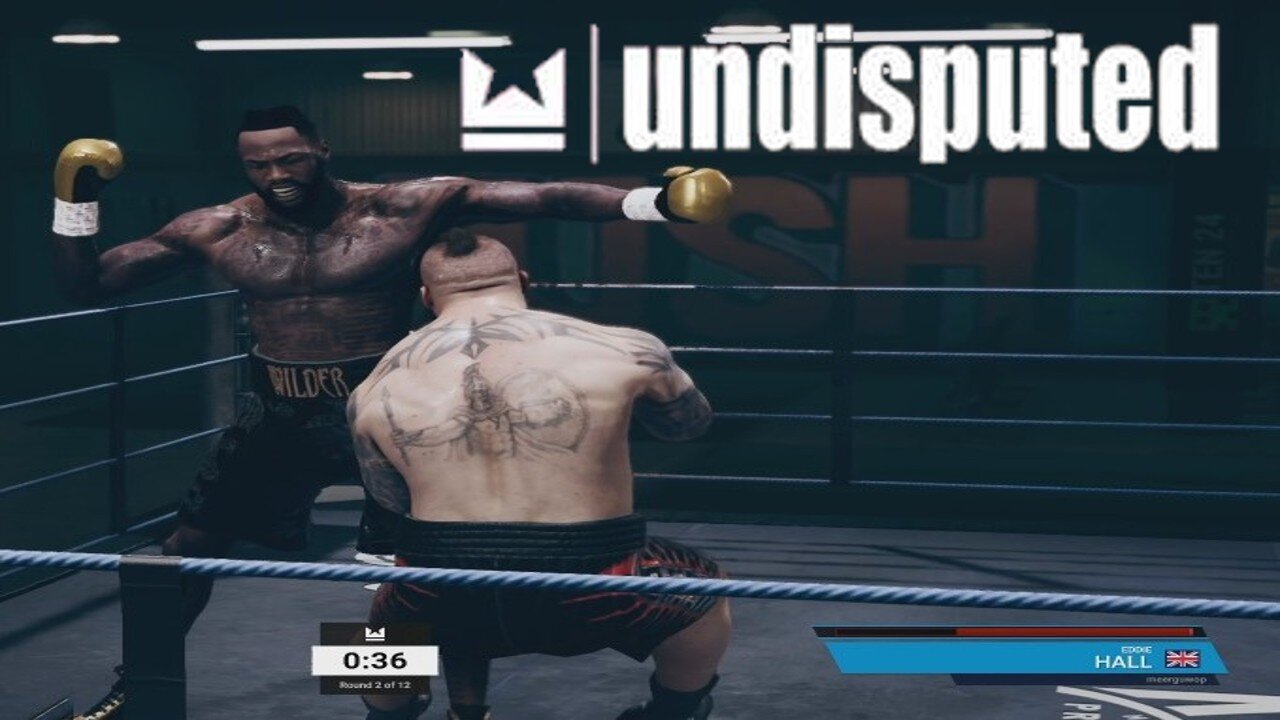 I GOT MY FIRST KNOCKOUT - Undisputed (Online Fight)