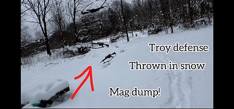 Throwing A Troy AR