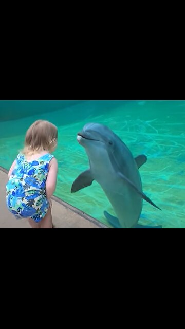 A Serene Encounter Between a Curious Girl and a Playful Dolphin