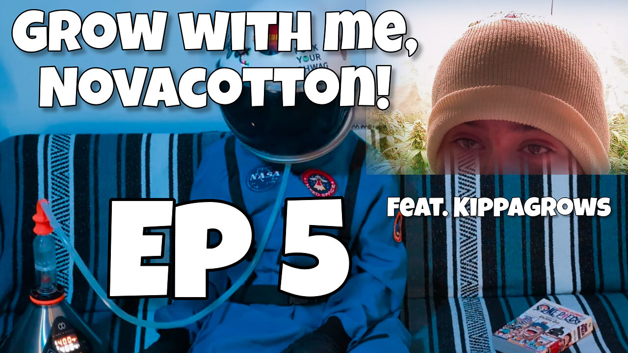 Grow with me, Novacotton! EP. 5 (week 4) Feat. @KippaGrows