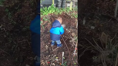 #greenhouse 🌱 #homeschooling #prepper #homestead #foodsecurity #teaching #kids #health #wellness