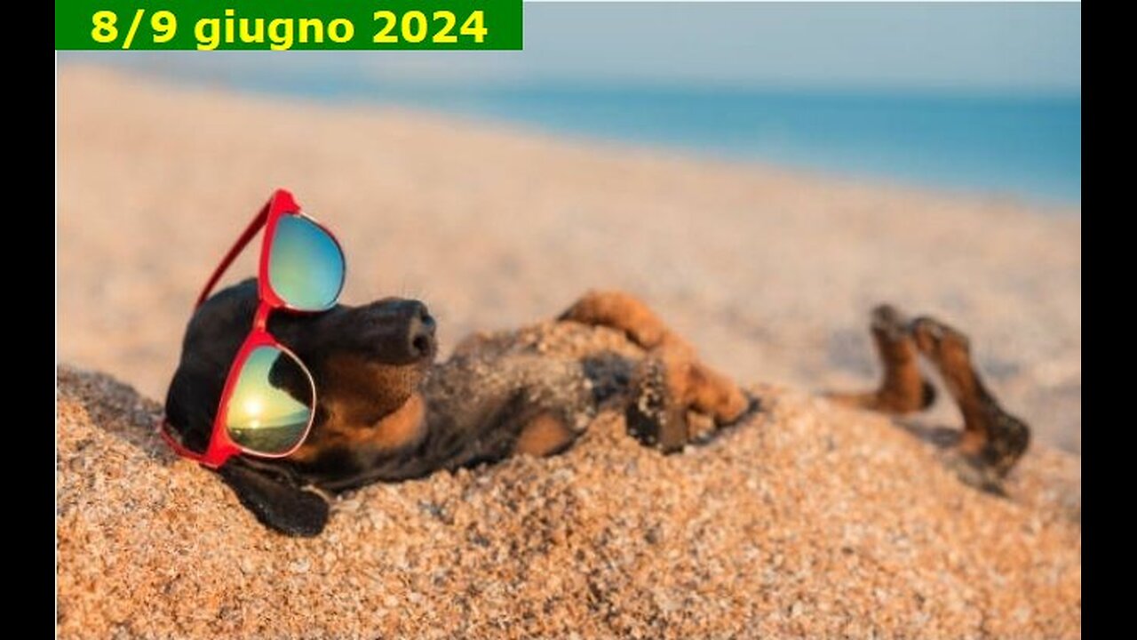 Tutti al mare - 2 maggio 2024